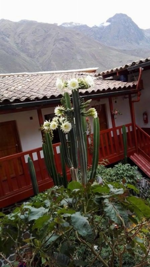 Kuychipunku Hostal image 9