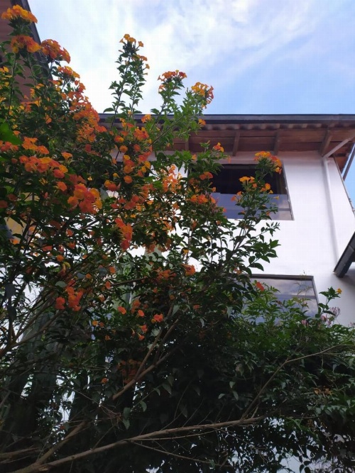 Kuychipunku Hostal image 11