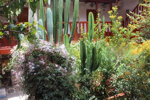 Kuychipunku Hostal image 1